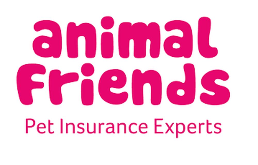 <p>We rewrote all of Animal Friends' policy documents</p>